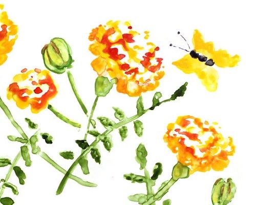 500x400 Orange And Yellow Flower Painting, Marigolds Watercolor Art