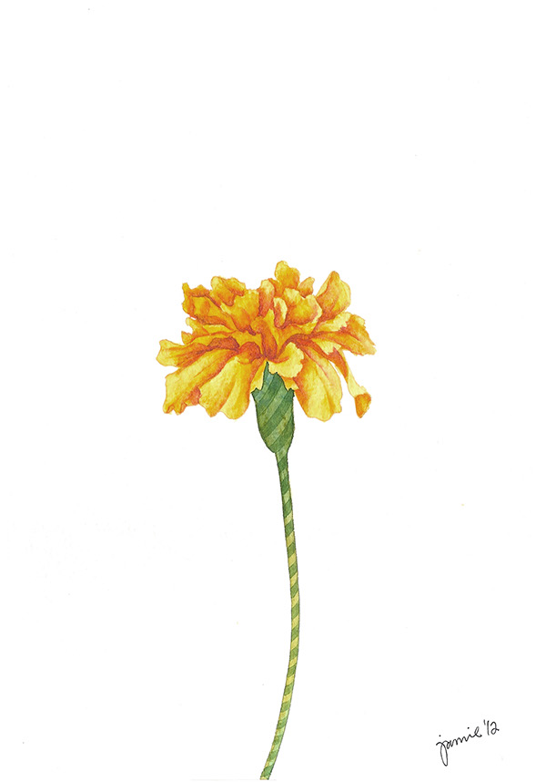 600x858 Watercolor Flowers On Behance