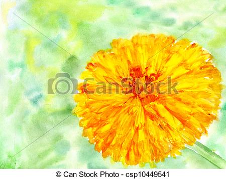 450x357 Watercolor Flower Marigold.