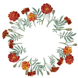 160x160 Hand Drawn Watercolor Leaf Of Marigold Flower Stock Photo And