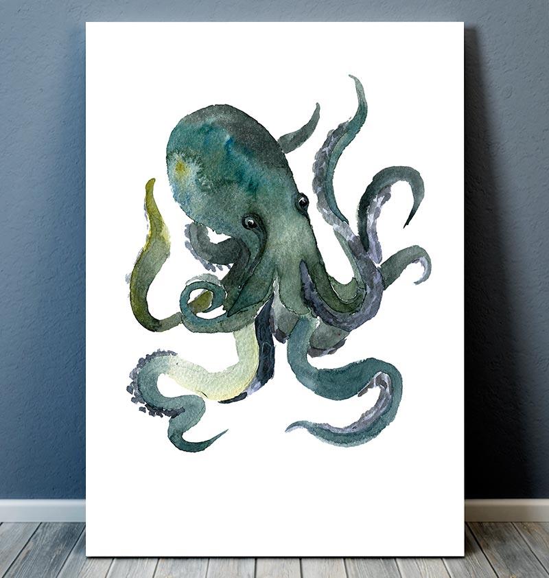 800x842 Octopus Ii
