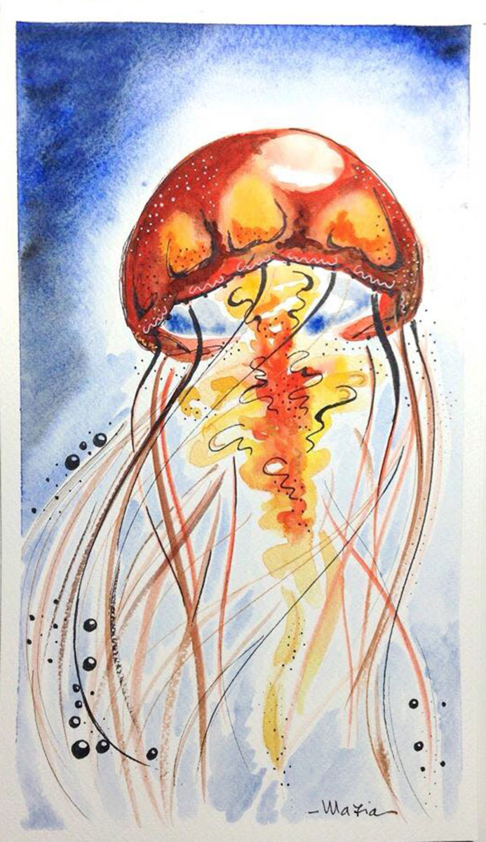 693x1200 Jellyfish