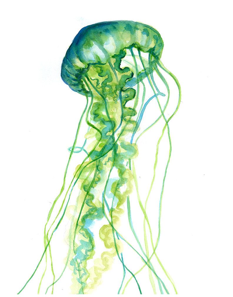 792x1008 Green Jellyfish Watercolor Print