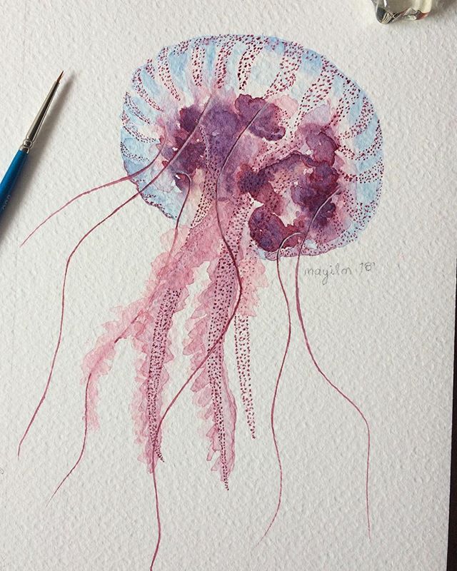 640x800 Jelly Fish