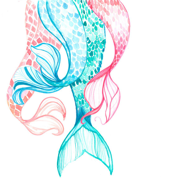 600x582 Mermaid Tails By Coral Hernandez Finol Decalgirl