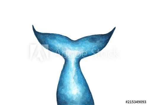 500x354 Hand Painted Mermaid Tail. Silhouette Of Whale Tail, Fish Tail