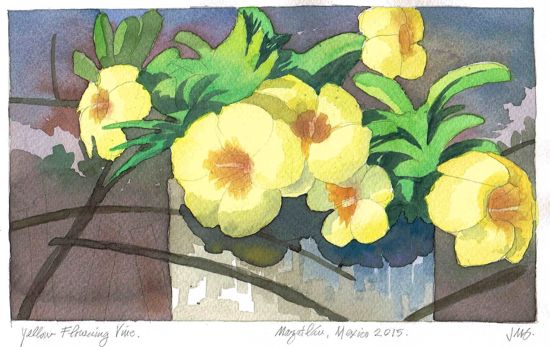 1865x1176 Watercolor Painting Of Tropical Mexican Flowering Plant Jeffrey