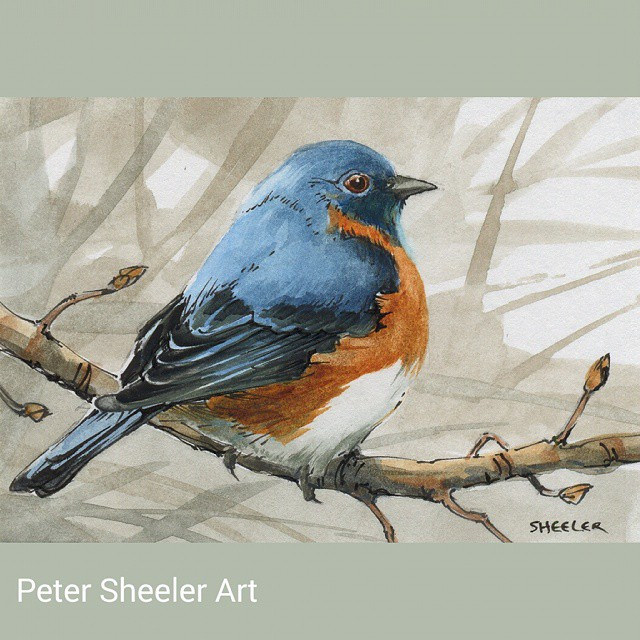 640x640 Bluebird. Miniature Watercolor. 2.5xx3.5 . Sold