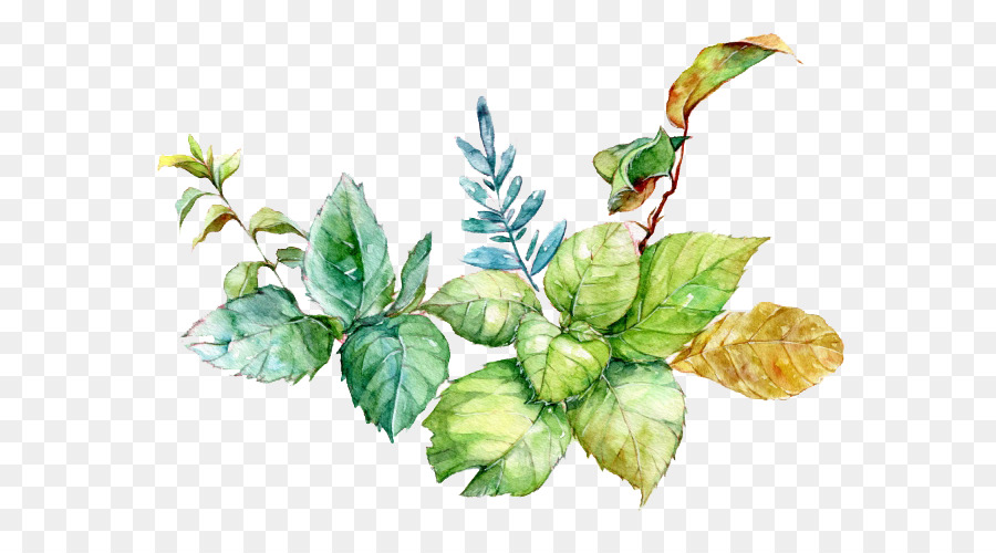 900x500 Watercolor Painting Download