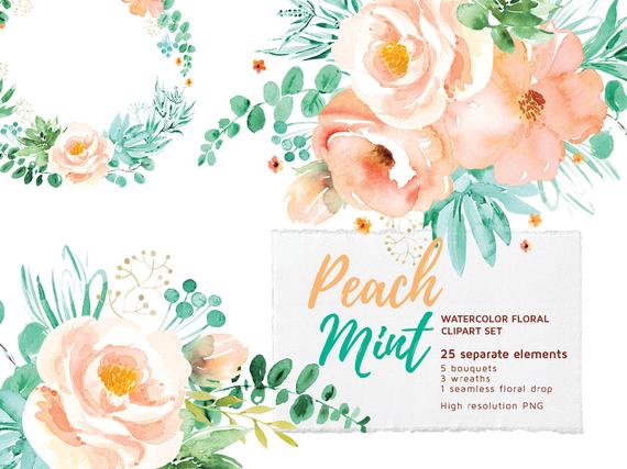 570x427 Peach Mint Floral Clipart Set Watercolor Flowers Clip Art Etsy