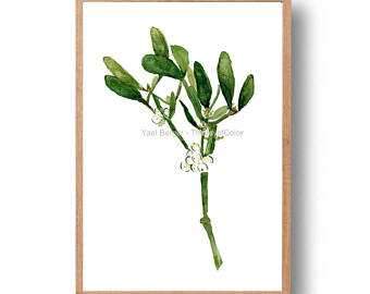 340x270 Mistletoe Art Print Mistletoe Watercolor Print Mistletoe Etsy