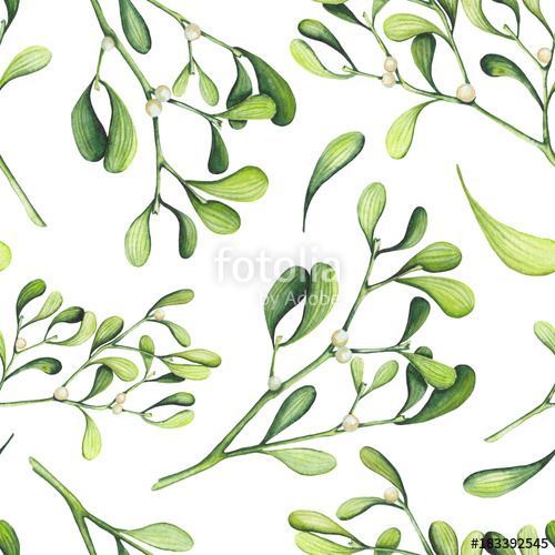500x500 Seamless Pattern Of Watercolor Light Green Mistletoe Stock Photo