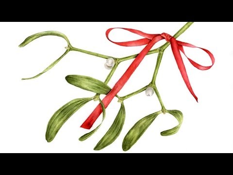 480x360 How To Paint Realistic Mistletoe With A Bright Red Ribbon In