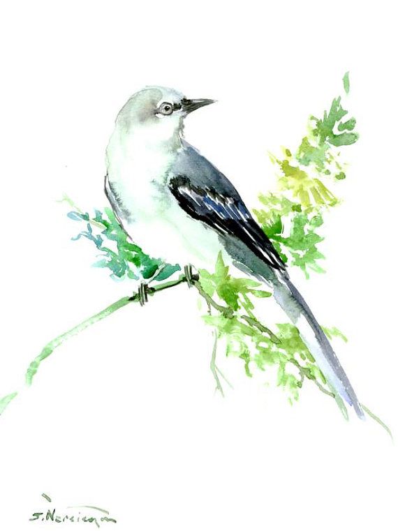 570x761 Mockingbird Painting, 12 X 9 In, Original Watercolor Painting