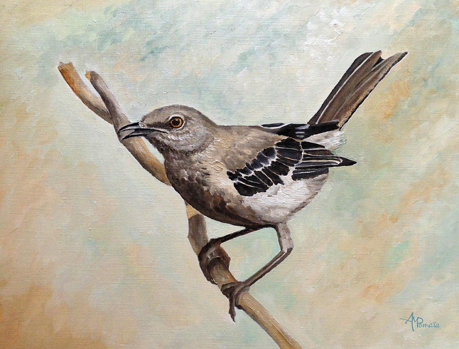 900x685 Sharp Eyed Mockingbird Painting By Angeles M Pomata