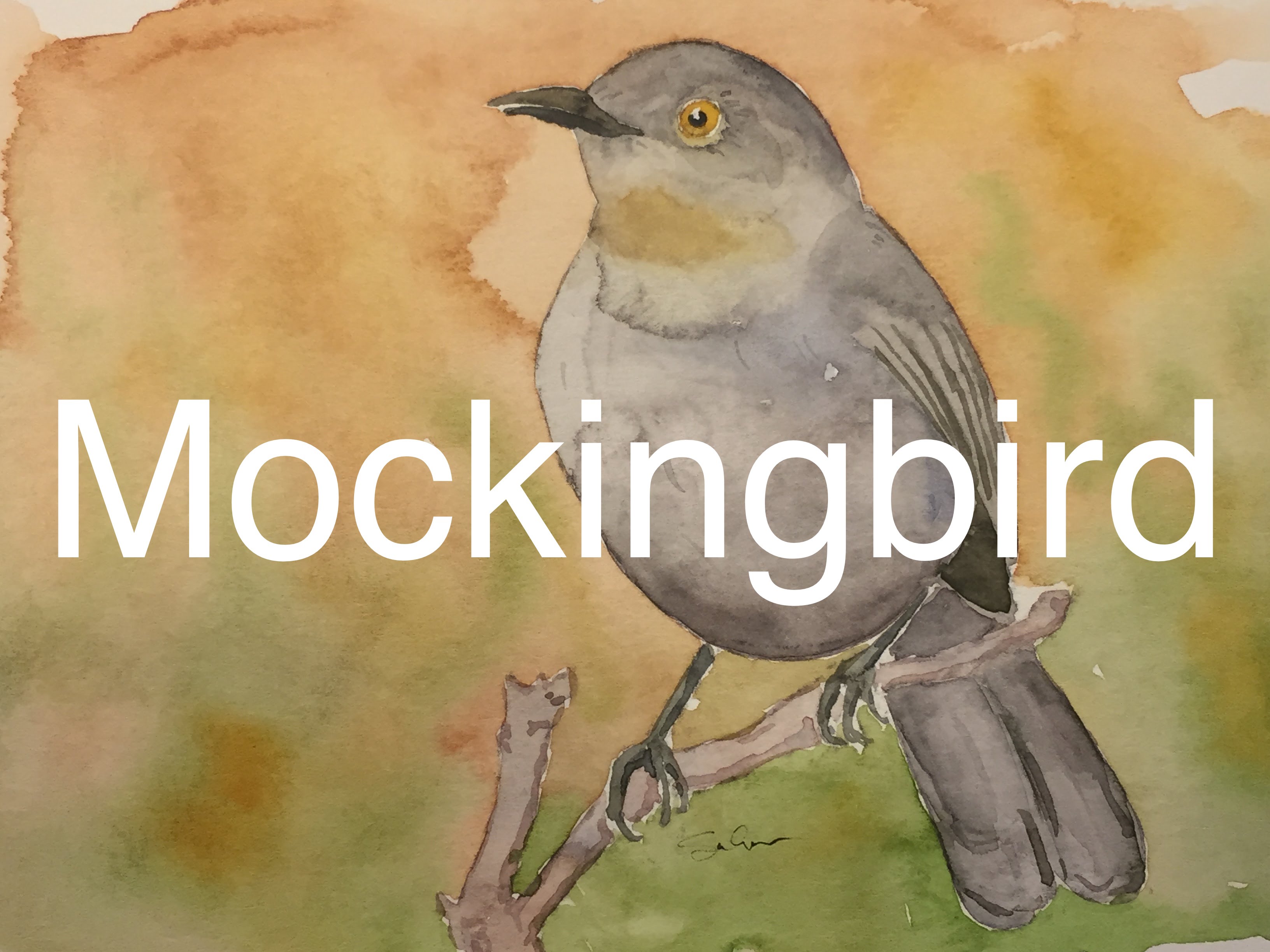 3264x2448 How To Paint A Bird In Watercolour Watercolor Mocking Bird