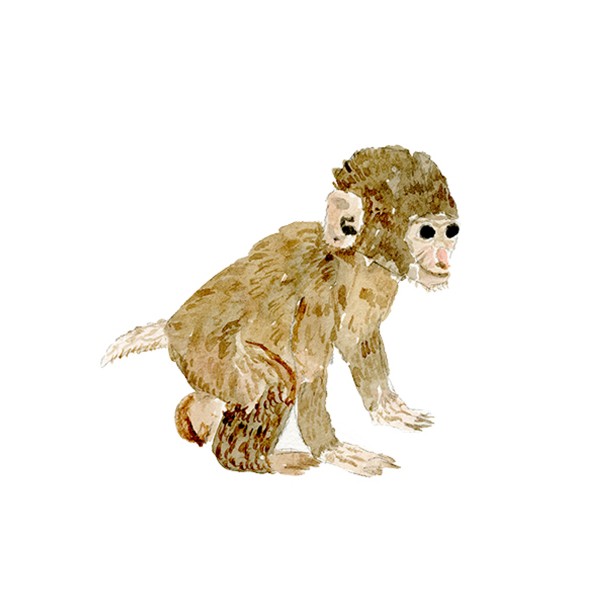 600x600 Peeps Paper Products Baby Monkey Watercolor Print