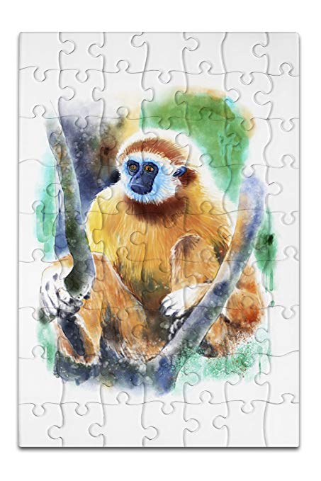 453x679 White Handed Gibbon Monkey