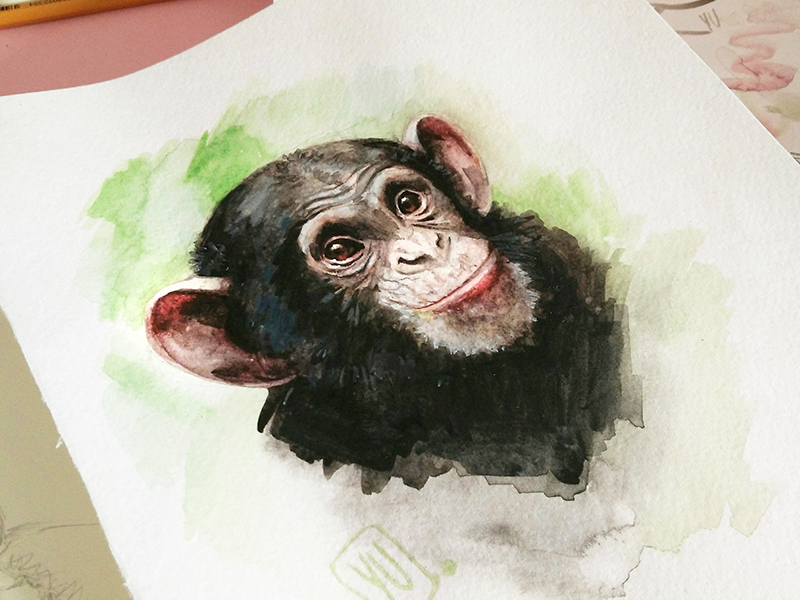 800x600 Watercolor Monkey By Elena Yudina