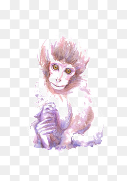 260x372 Watercolor Monkeys Png Images Vectors And Psd Files Free