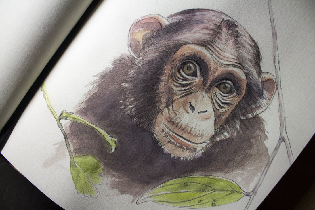 1095x730 Watercolor Little Cute Monkey By Ondraede