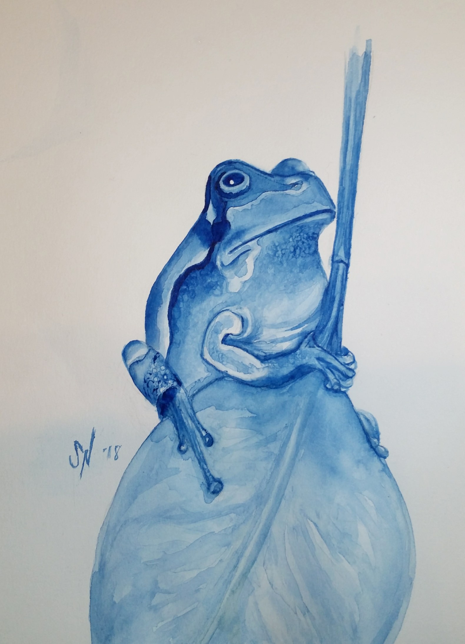 1580x2189 Monochromatic Watercolor Frog