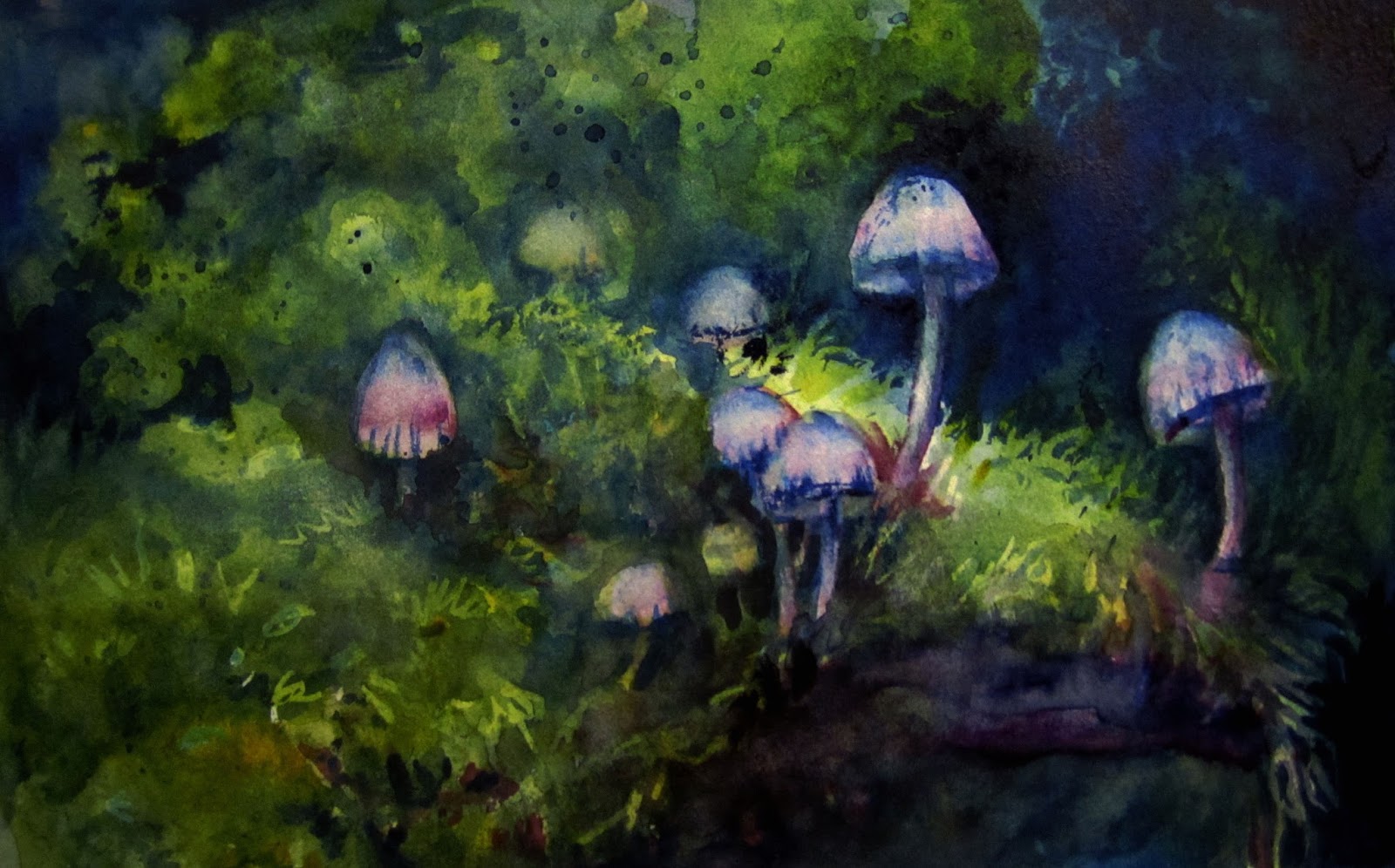 1600x996 Mushrooms By Moonlight
