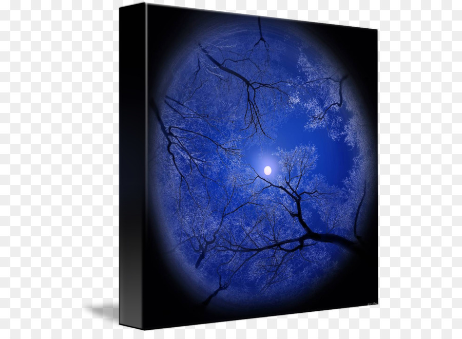 900x660 Photography Wisgoon Earth M02j71