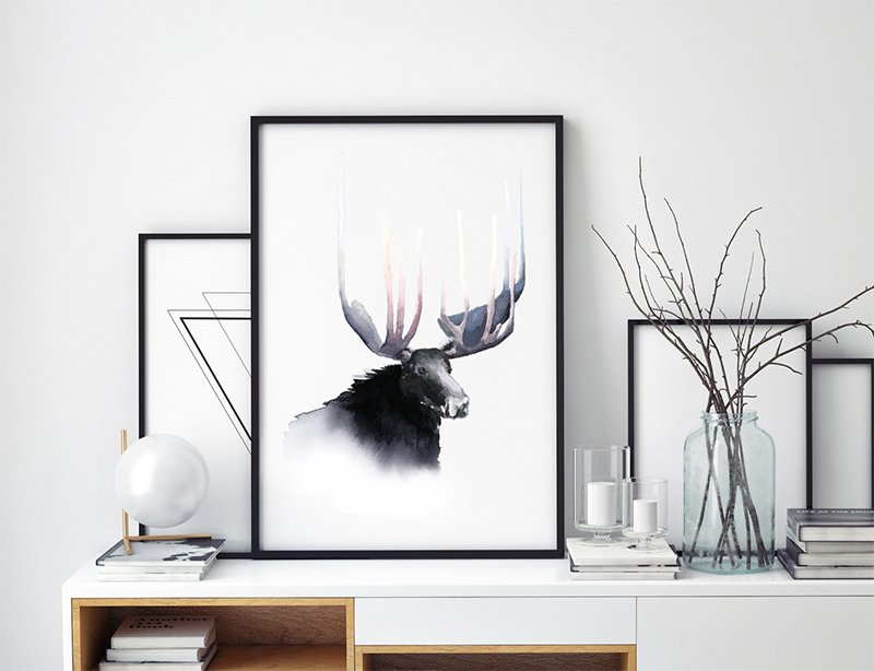 800x614 Crown Of The King, Moose Watercolor Painting Cora Art
