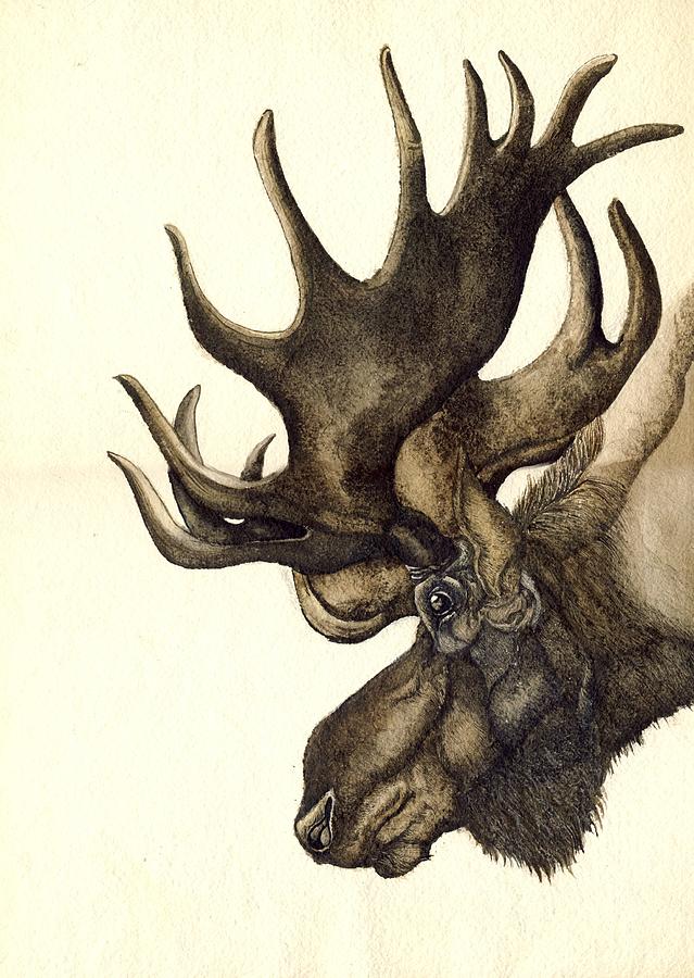 639x900 Moose Watercolor Painting By Alfred Ng