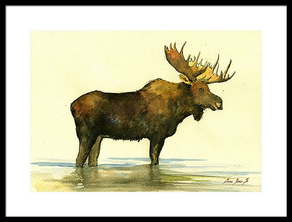 600x456 Moose Watercolor Painting. Framed Print By Juan Bosco