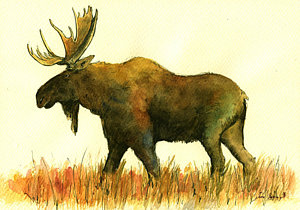 300x210 Moose Watercolor Paintings Fine Art America