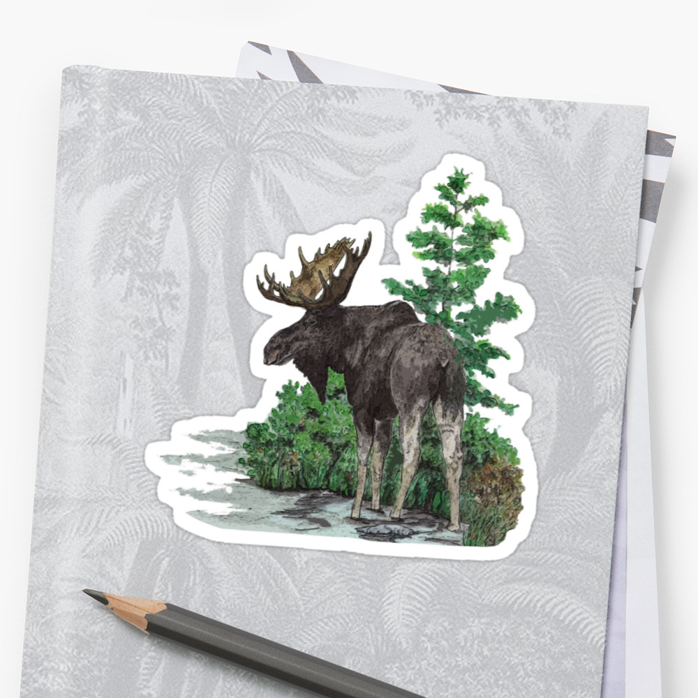 1000x1000 Moose Watercolor Stickers By Saltypro Redbubble