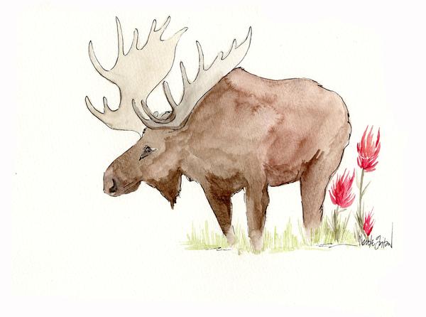 600x446 Watercolor Moose With Indian Paintbrush