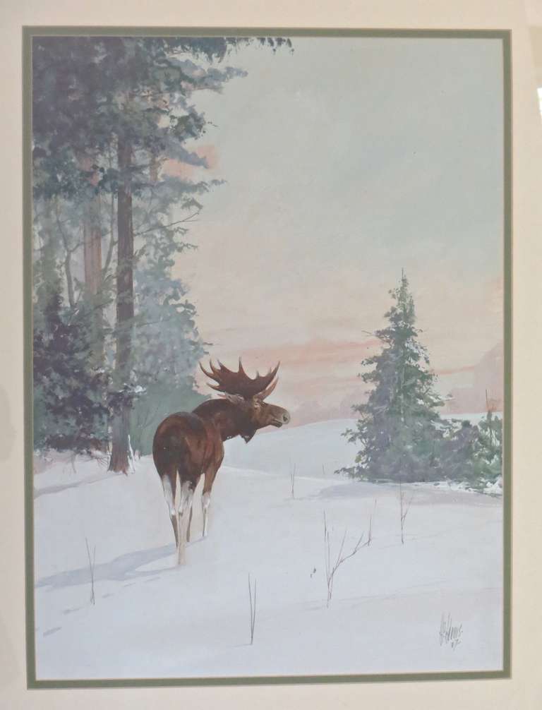 768x1006 Watercolor Of Grazing Moose In Yellowstone Park, By H. Adams