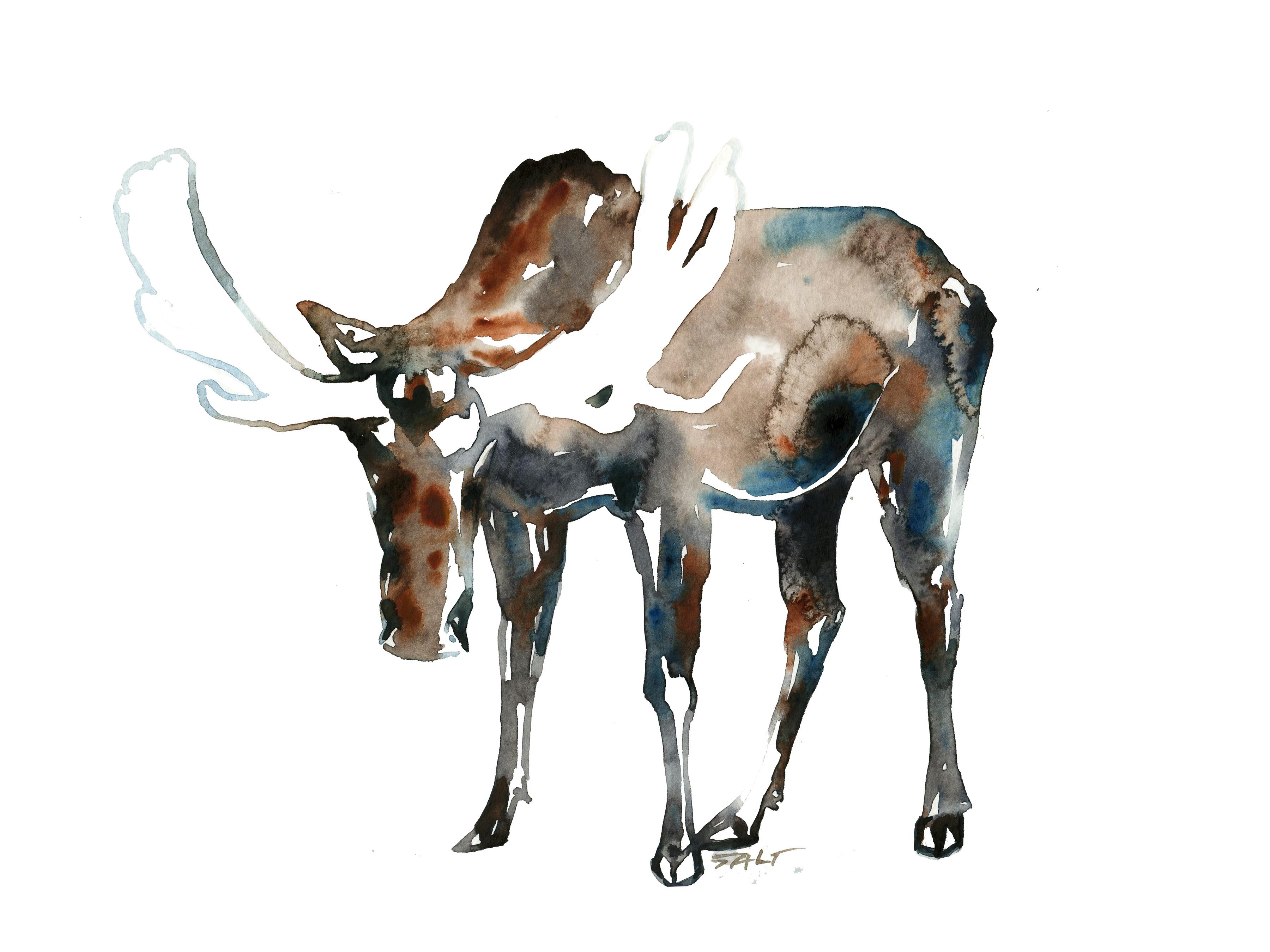 3600x2700 Bull Moose, Watercolor, 9x12 Painting