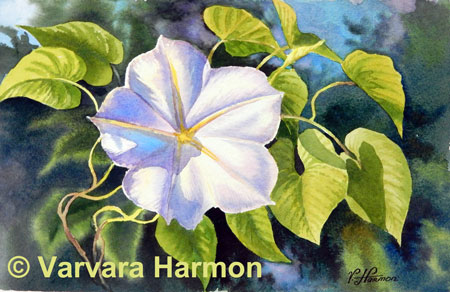 450x292 Morning Glory, Original Floral Watercolor Painting By Varvara Harmon