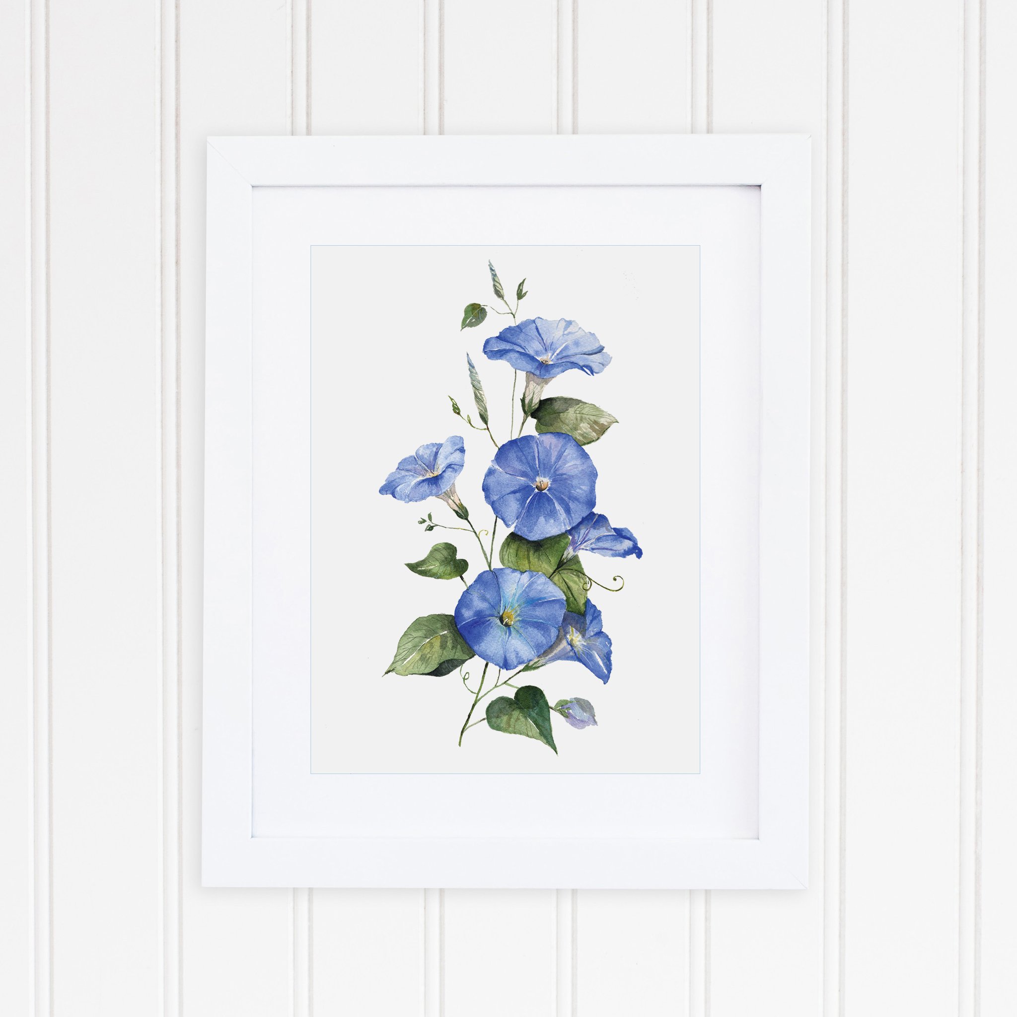 2048x2048 Morning Glory Art Print