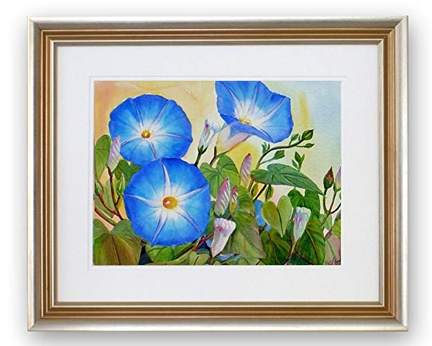625x500 Morning Glory Watercolor Flower Painting 17x21 Framed