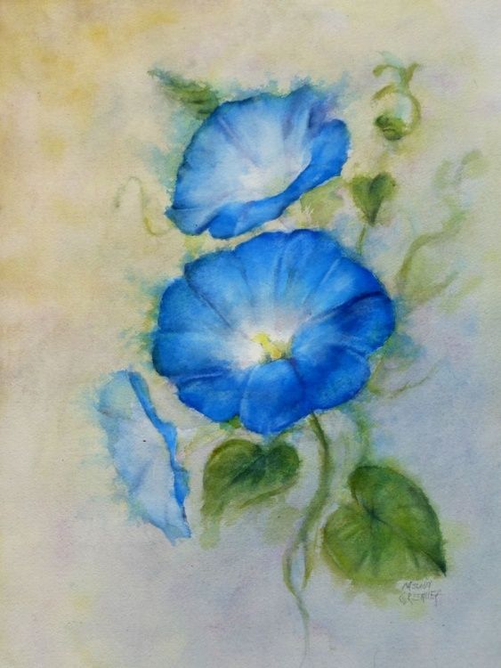 563x750 Morning Glory In 2018 Art Board International Art
