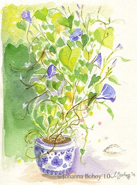 445x600 Morning Glory Last Day Of Summer, Watercolor By Artist Johanna