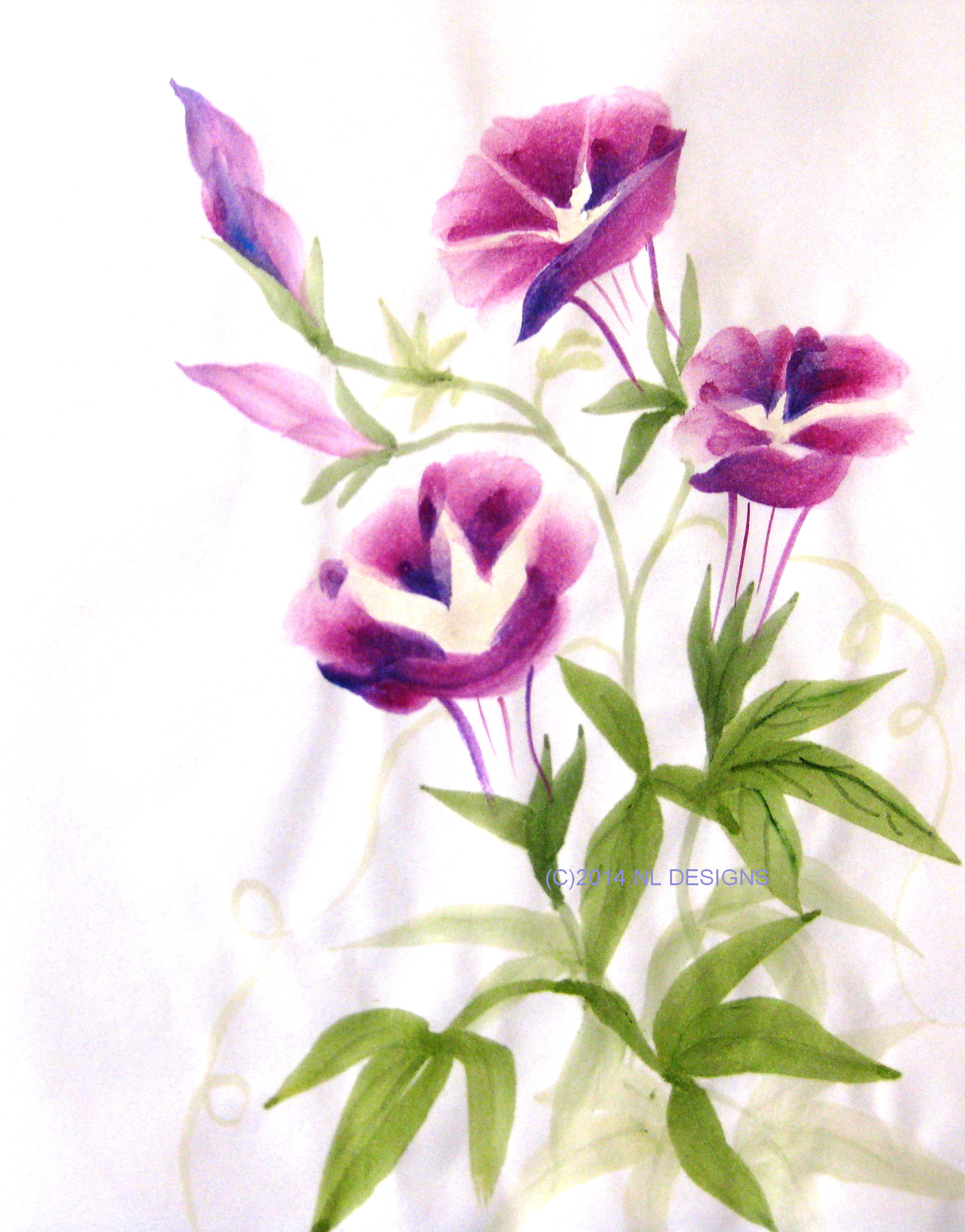 1917x2448 Morning Glory Nldesignsbythesea