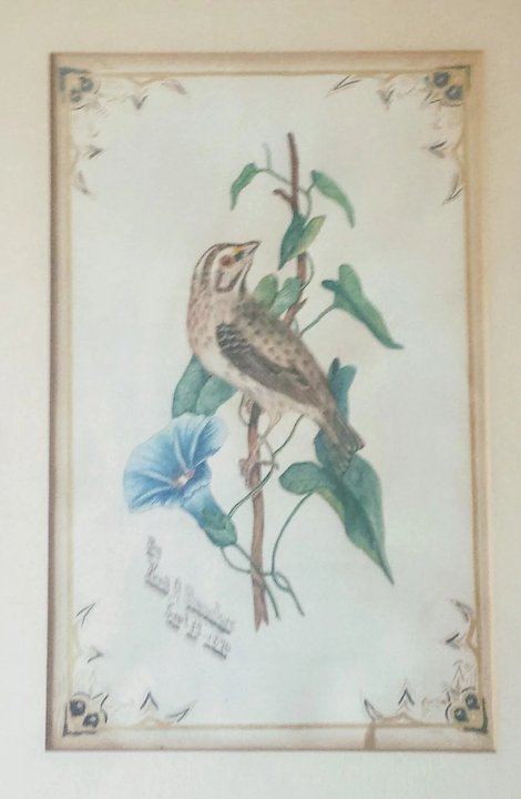 470x720 Antique Watercolor Sparrow On Morning Glory Artist Signed And