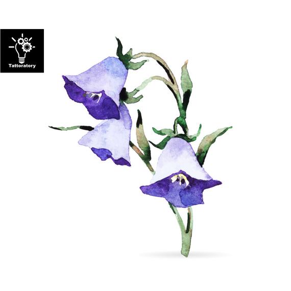 570x570 Temporary Tattoo Watercolor Flower Tattoo Morning Glory Tattoo Etsy