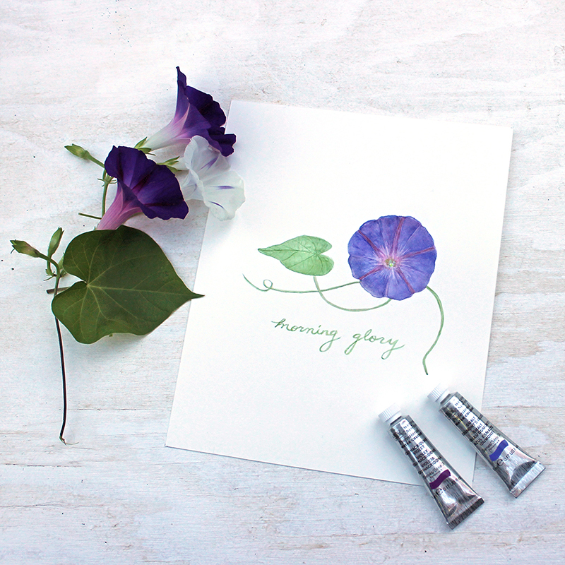 800x800 Trowel And Paintbrush A Morning Glory Painting