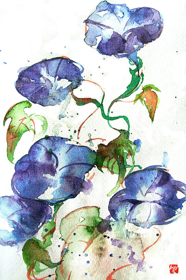 600x899 Watercolor Morning Glory By Muttiy