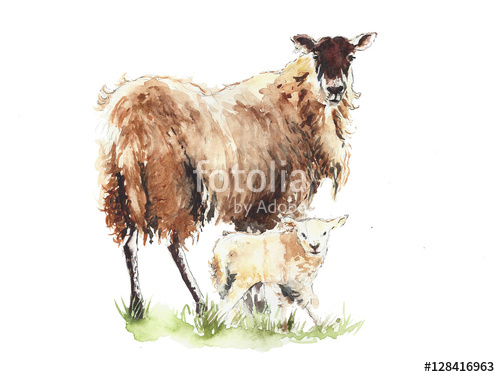 500x377 Sheep With Lamb Mother And Child Animals Watercolor Painting