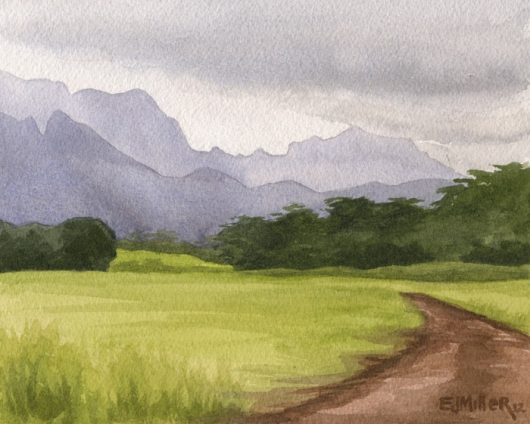 530x424 Afternoon Mountains, Lihue