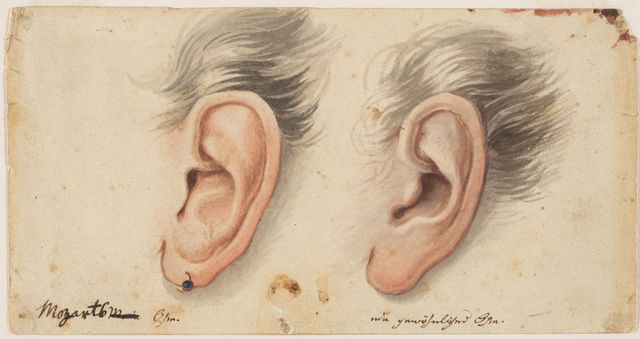 640x339 My Ear And An Ordinary Ear, Watercolor And Ink, By Wolfgang