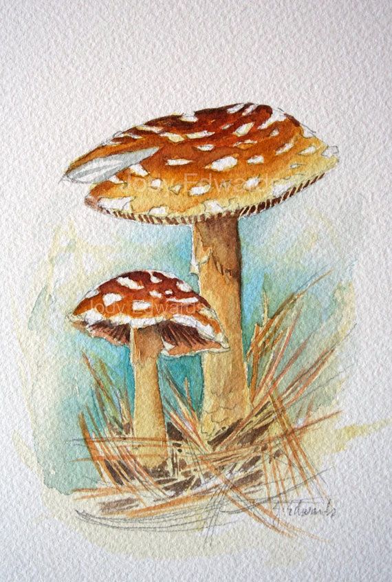 570x846 Mushrooms Painting